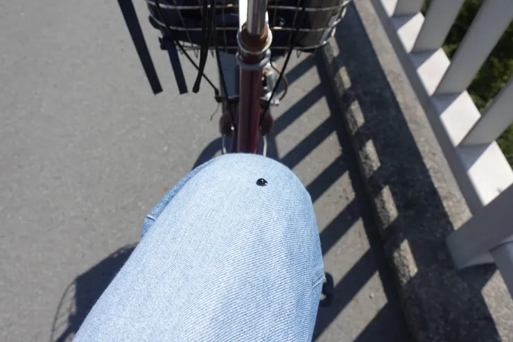 牠是隻瓢蟲,但牠走進我的回憶裡,成為我回憶美好的一部份