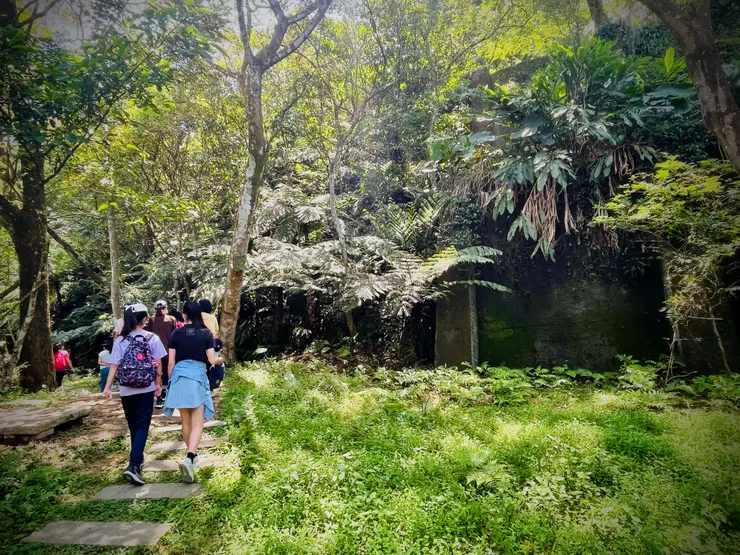 和美山沒有過多人工開發,步道旁植披維持自然生態,夏季是賞螢熱門景點