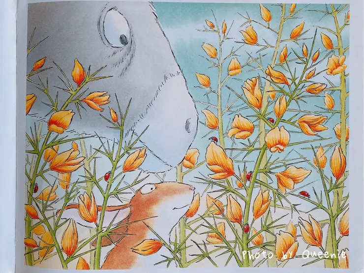 老驢子跟小兔子一起好奇瓢蟲身上有幾個點點