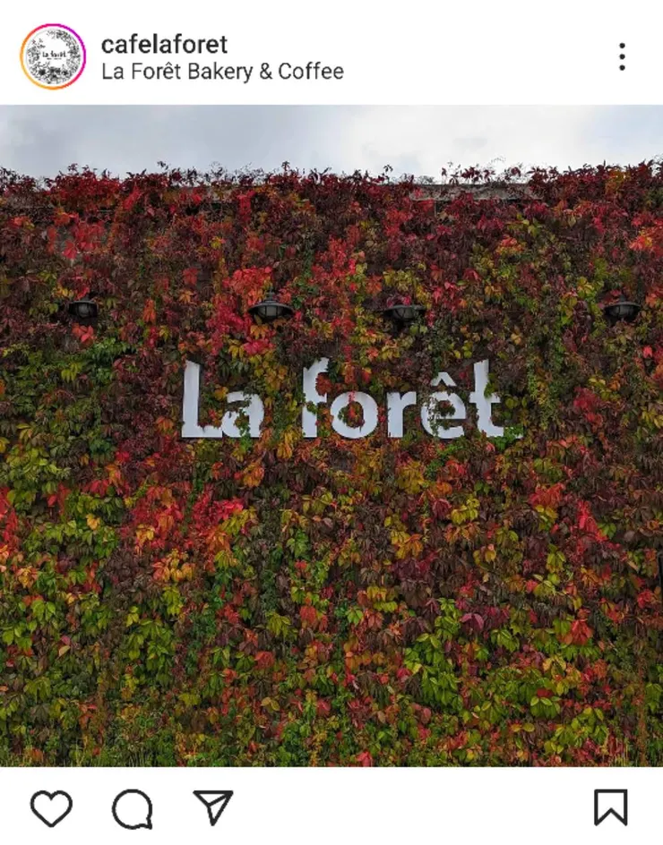La Forêt官網秋天外觀