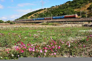 首批回送列車踏上最終旅程2021.11.30 8791次 台中港=清水