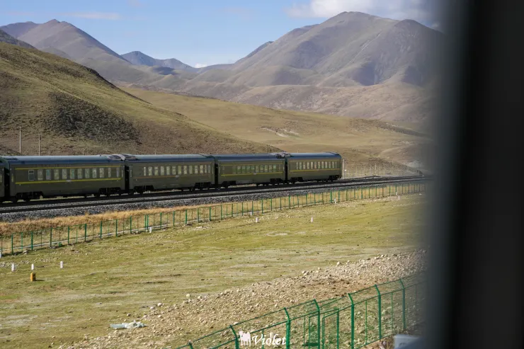 西藏 青藏列車 團友拍攝