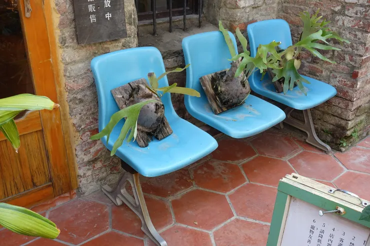 右下牌子上寫：寵物友善，左上寫：販售。所以...入座的等待區是在裡嗎？