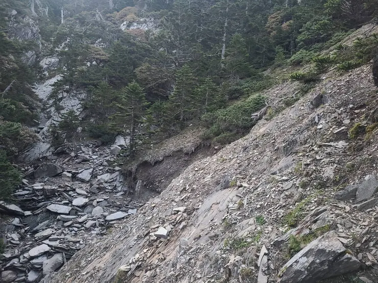 這邊應該也不是正路,路在更上面一點或是下到乾溪床後再上切。這裡我是直接橫渡碎石過去後上切而行