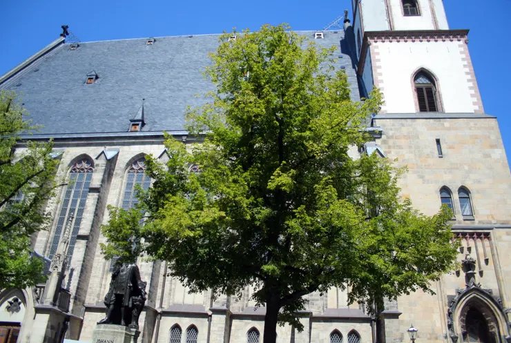萊比錫聖湯瑪斯教堂(Thomaskirche Leipzig)