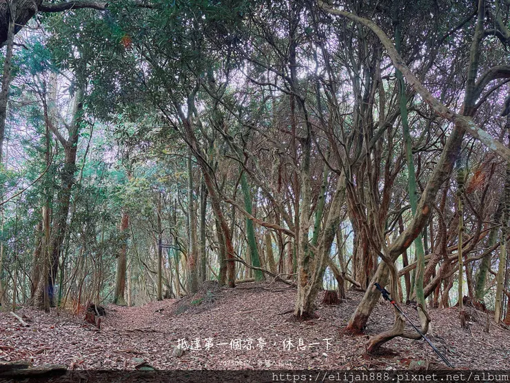 【谷關健行/住宿】谷關七雄老大。海拔2366公尺八仙山主峰。