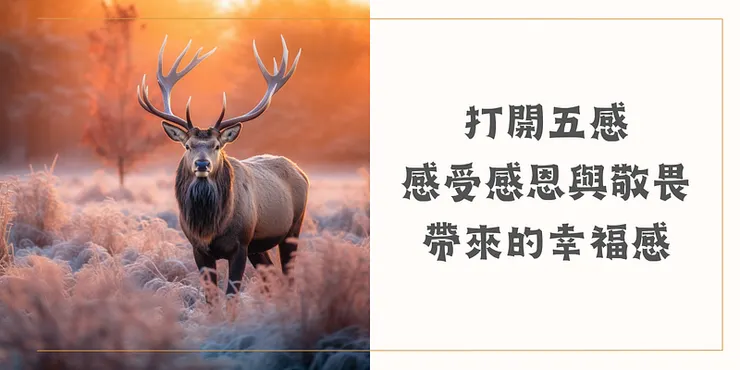 象與騎象人，正向心理學練習感恩與敬畏帶來幸福感