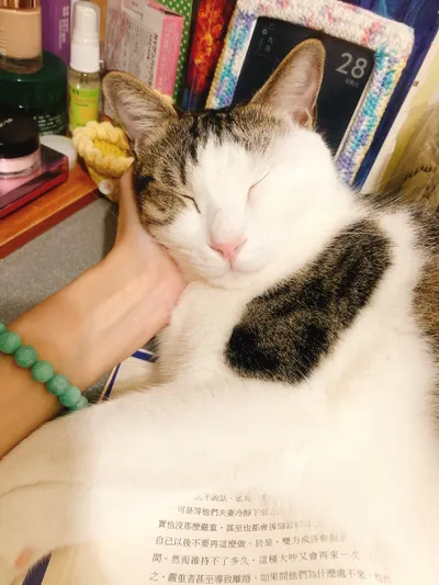 在家玲身上我看見獨一無二-《只有你才有》