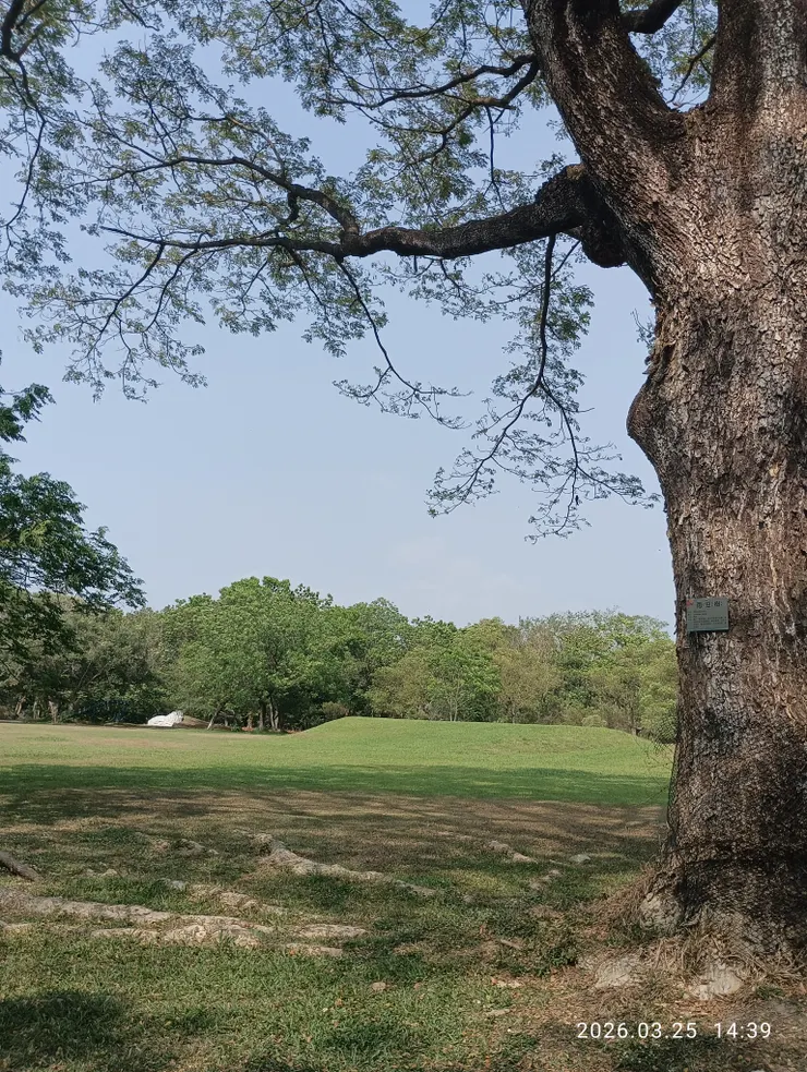 春風葉下影悠然，皆自拍攝