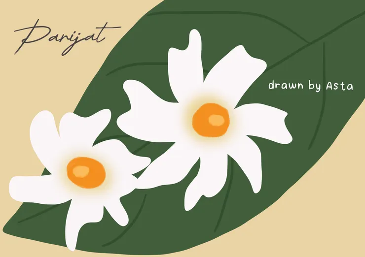 自己畫的『夜花』☺️