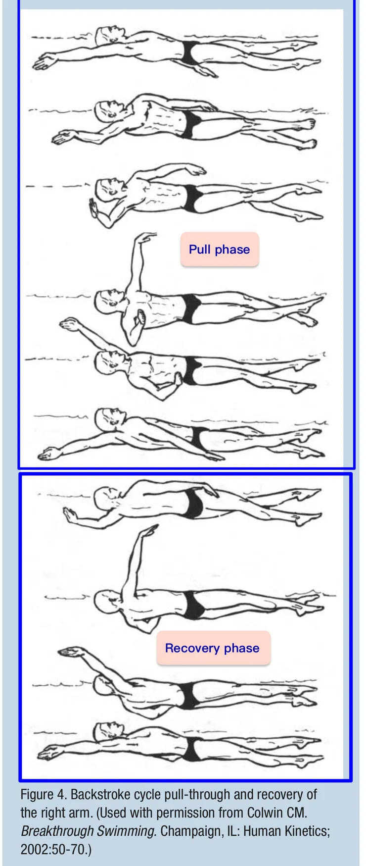 仰式：推進期與回復期