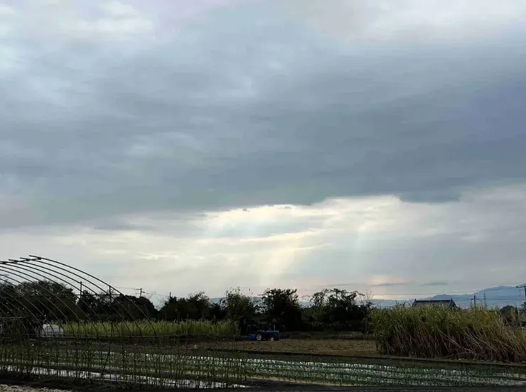 幾日天氣都陰陰的,從天空照下來的曙光特別美