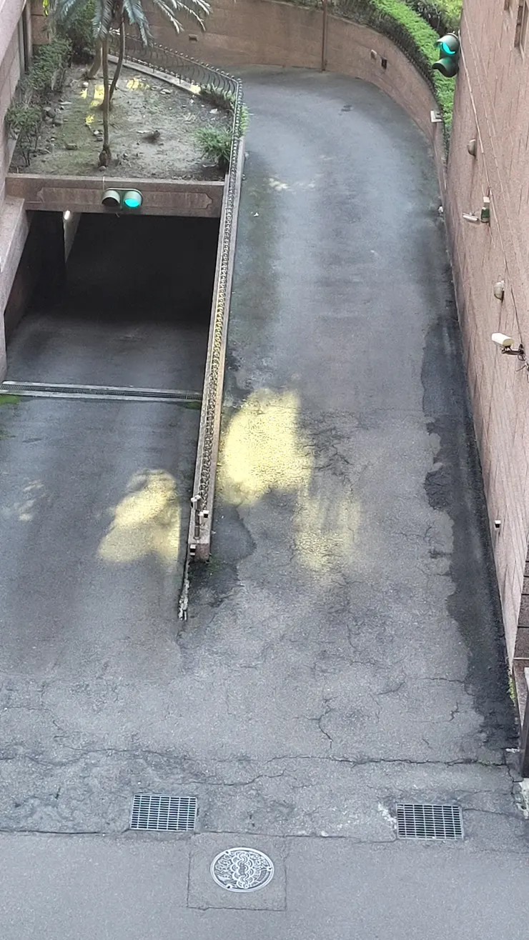 有點像隻蝴蝶的光..( 學霸攝影 )