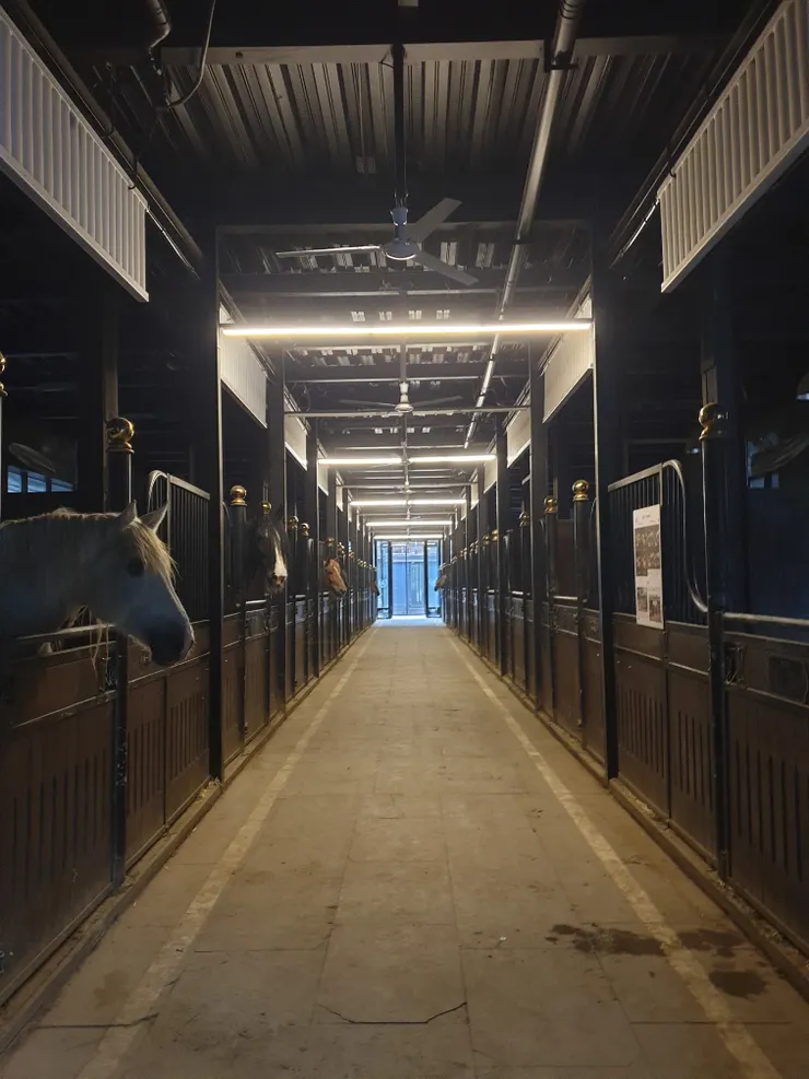 參觀野馬古生態園的馬廄,設備現代十分乾淨,此地常舉辦國際級馬術賽事與表演,並有馬術教學,還有以絲路驛站為主題的文化旅宿,住客能在園區觀賞馬匹