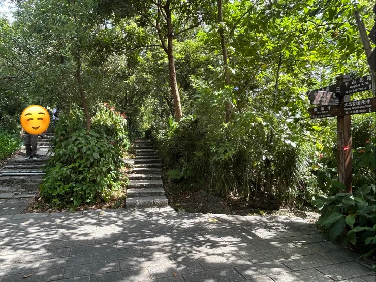 老話一句，遇岔路一路向左。