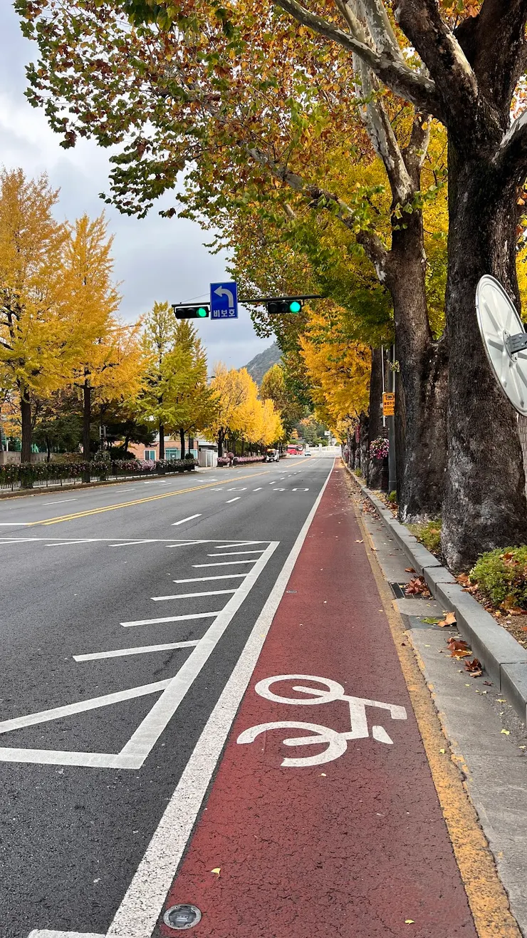 紅色部分是自行車道