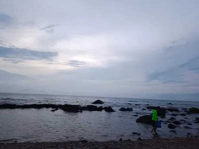 學習。自由的風。July's 1990