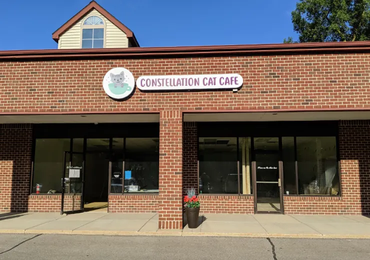 Constellation Cat Café