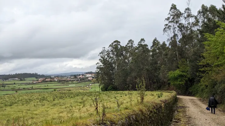 突然視野開闊～覺得很美