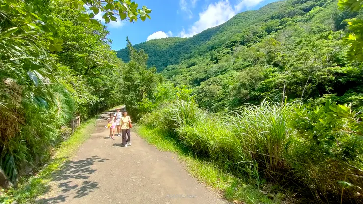 森林步道非常好走