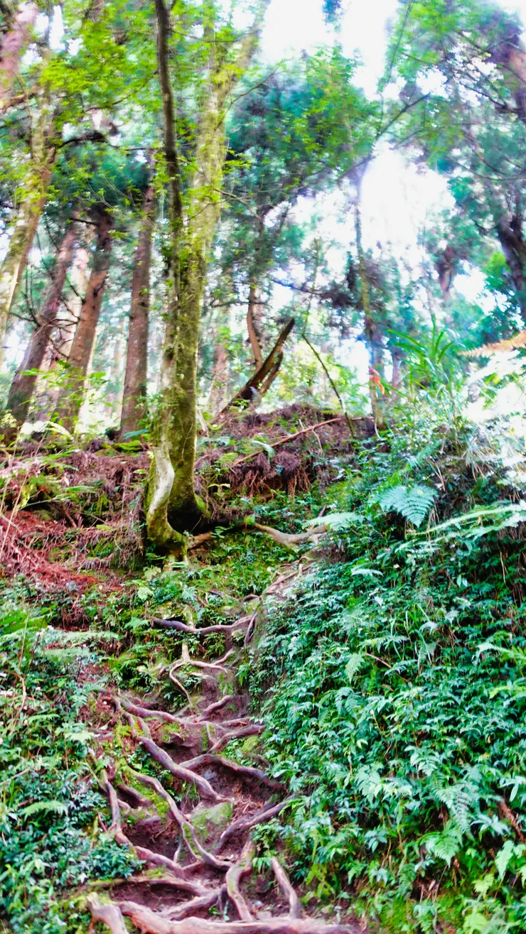 自忠山、東水山、北霞山登山口