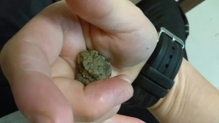 啾吉不想拍照所以我稍微抓著他。順便一提，照片上的手錶是悠遊卡功能手錶，已經遺失了。所以照片中現在還在的大概只剩下我的手了。