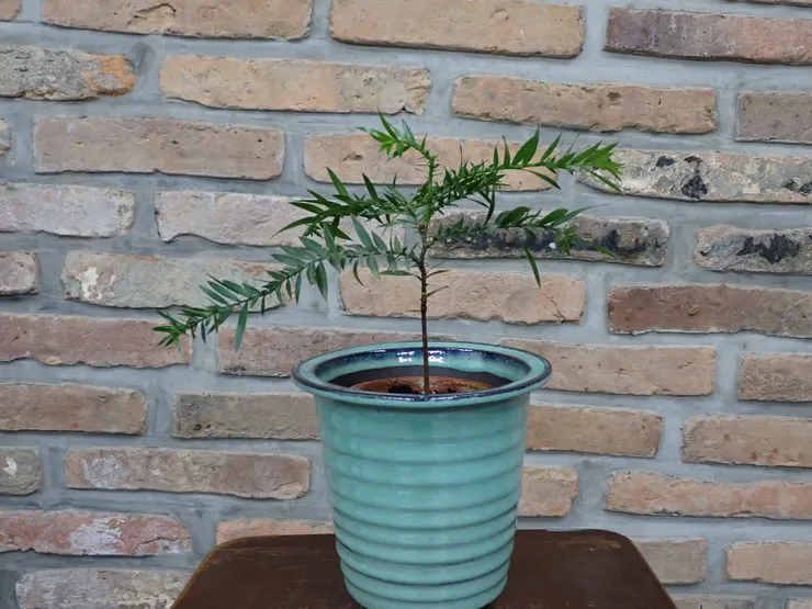 淡水社大113.10.22