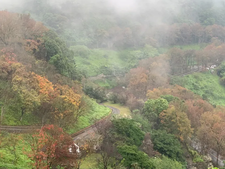 石門水庫的秋景
