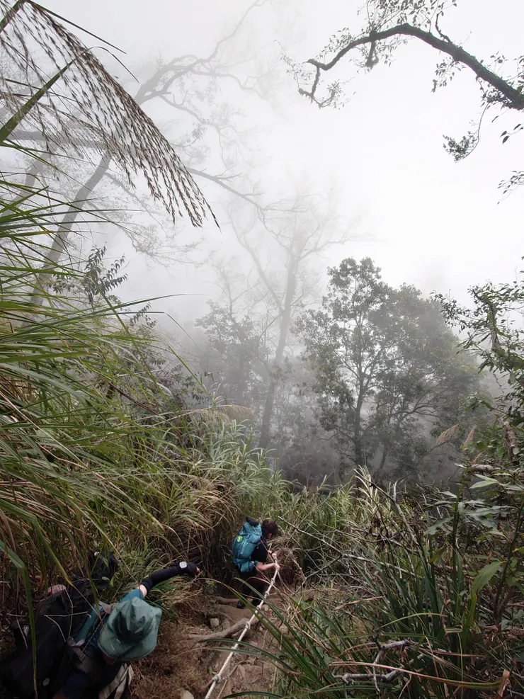 拉繩下切到水樣森林，花的時間比預期多因為人群中卡了一群阿北阿姨長輩團，這群阿北阿姨同樣扎營在水樣森林，協作也是請同一個