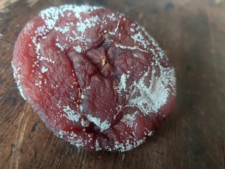 這密密麻麻的白點，有的地方有，有的地方沒有，分布不一。到底是霜？ 還是黴？