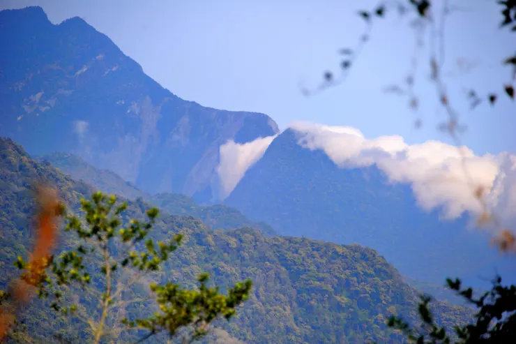 【來到寬處卻失了它的去處 轉彎再出現又被枝葉擋住】