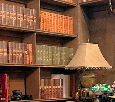 為了生活逆來順受.