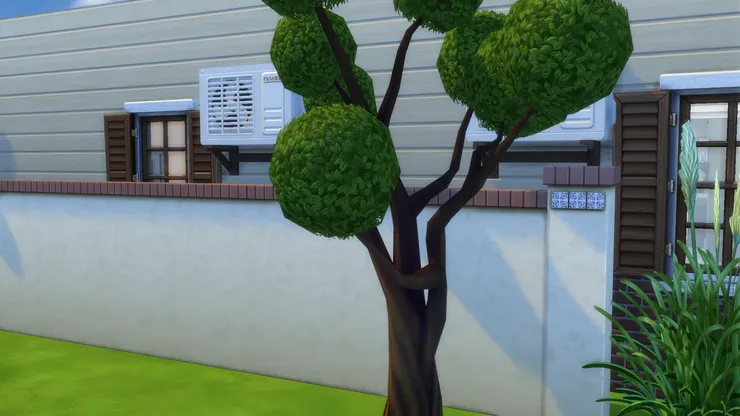 我想師生們雖然每天都經過，卻不曾留意到學校門前這棵樹形狀有多奇怪。