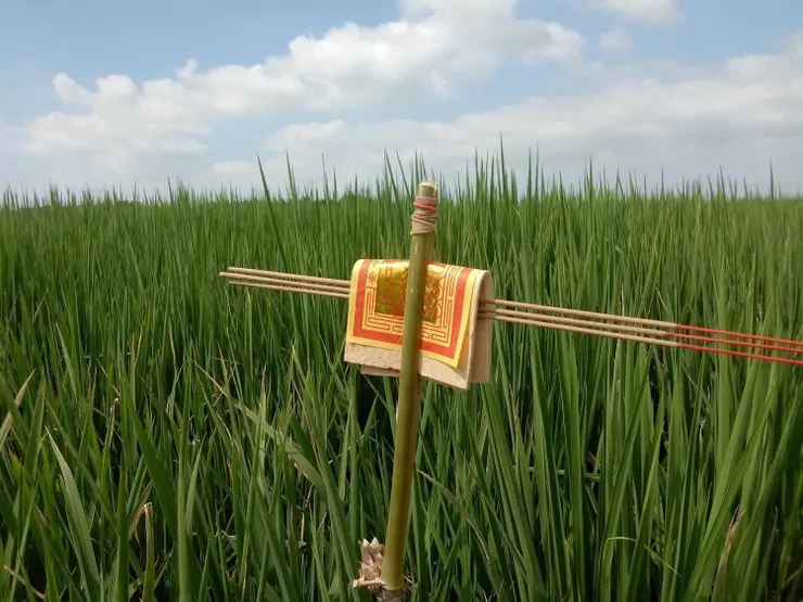 圖片來源：串樓口