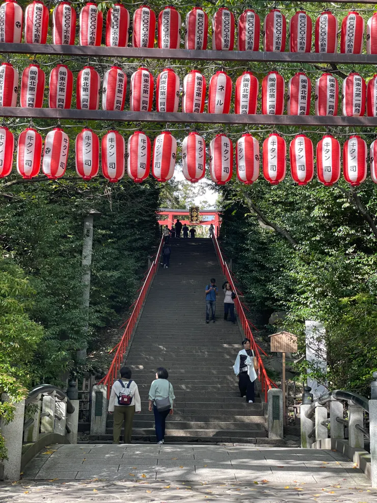 看到樓梯的時候瞬間嘆氣