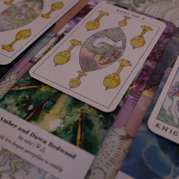 他看了看腳下的碎石和藤蔓，閉上眼，浮現的是美人、獨角獸和草原。