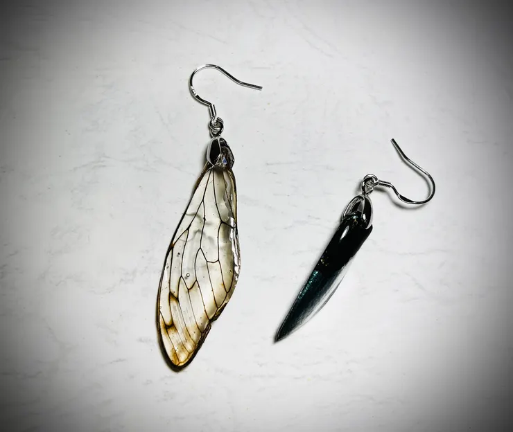 這樣顏色清楚些