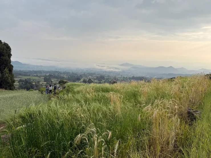 氣喘吁吁地終於爬到平台
