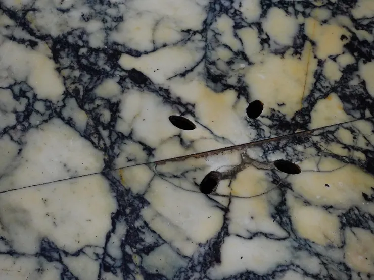 仔細看萬神殿地面,會發現這種很細緻的小孔。