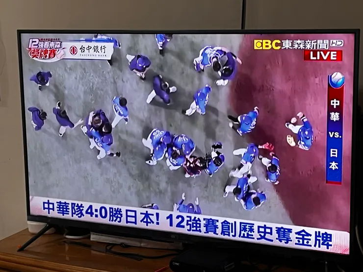 雙寶老爹006208定期定額記錄，2024年12月