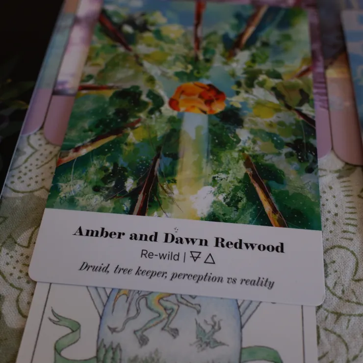 藤蔓四處攀爬，參天巨木貫穿了城堡，地上散落著各種寶石。