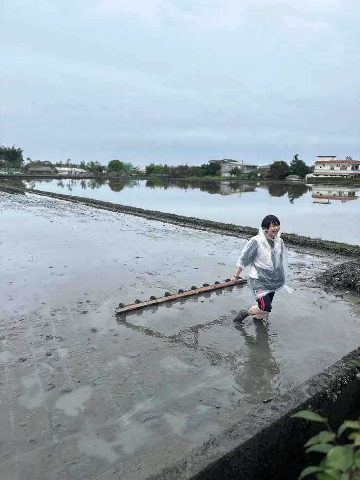 插秧體驗的遊客以正條密植器在稻田畫出秧格。（攝影／徐憶齡）