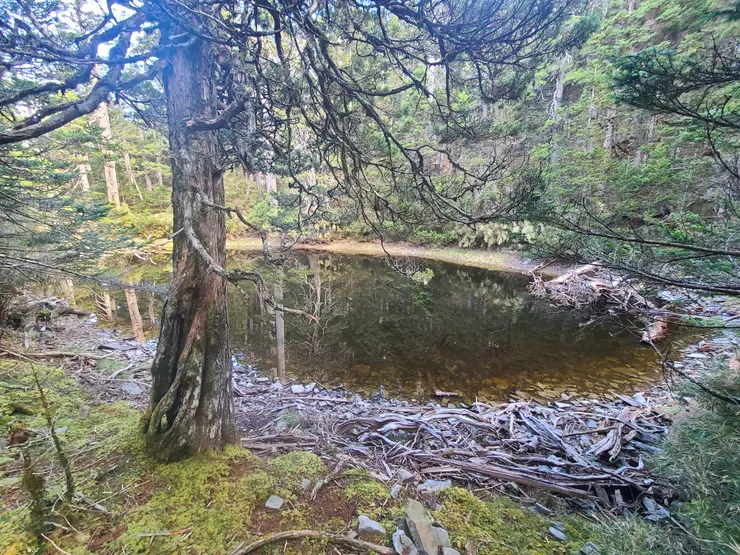 驚見北翠池，遺世獨立的氛圍