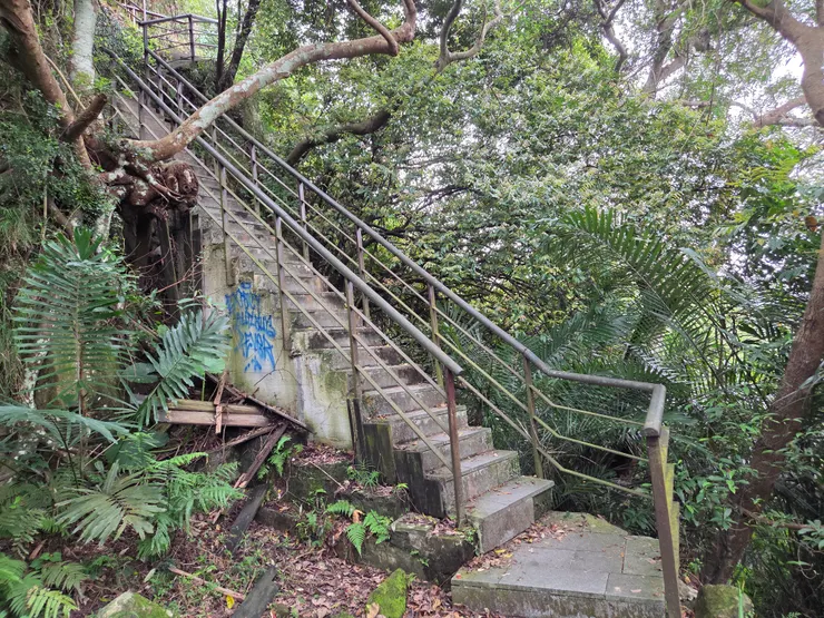 往虎山峰階梯