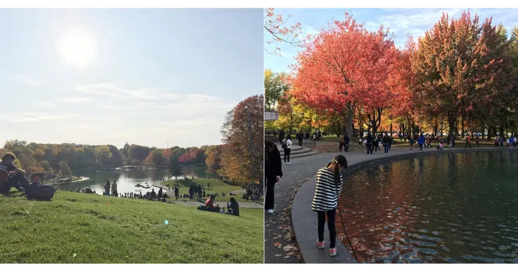 加拿大蒙特婁的秋景