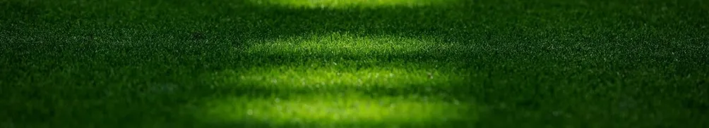 阿橘徐有辰的沙龍