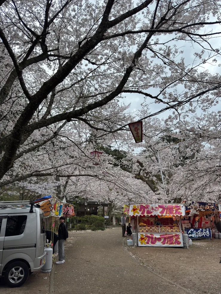 擺了許多屋台（攤販）