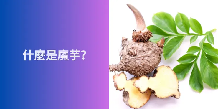 什麼是魔芋