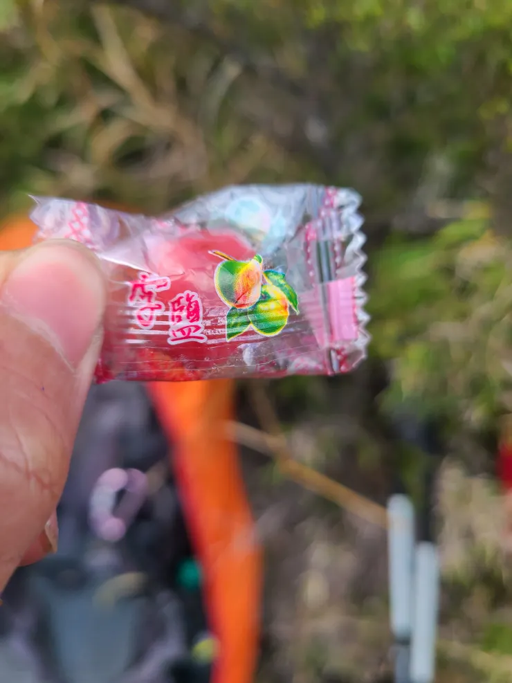 山友分享的鹽李糖，生津解渴。下次上山買了