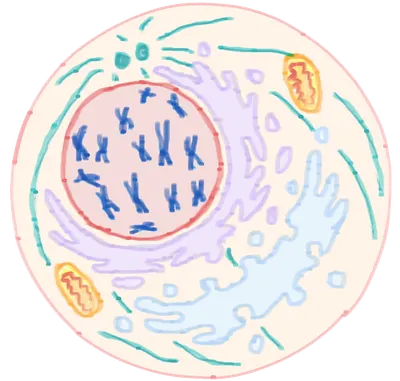 不專業學術閒聊